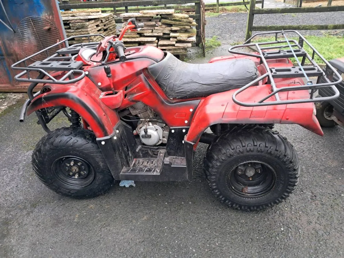 250 cc quad - Image 2