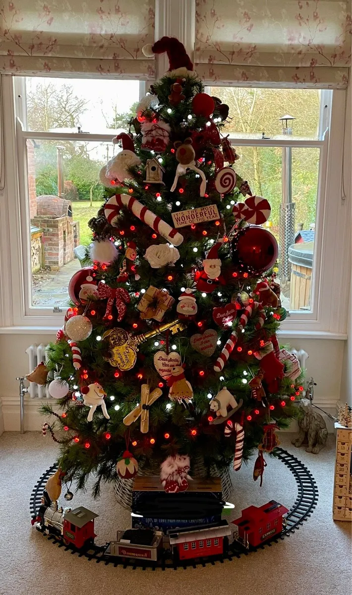 *FREE* Huge Christmas Decoration & lights bundle - Image 1