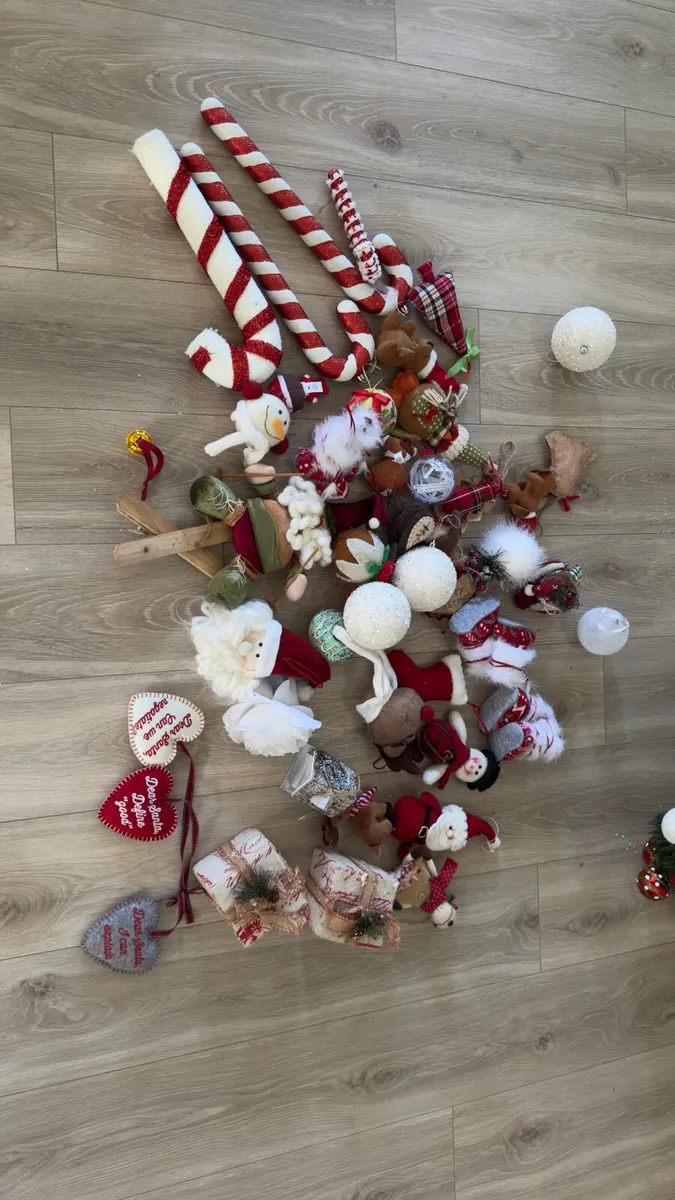 *FREE* Huge Christmas Decoration & lights bundle - Image 4