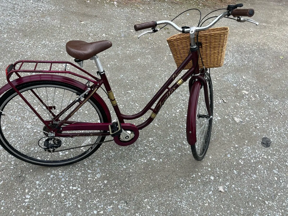 vintage high nelly bike - Image 1