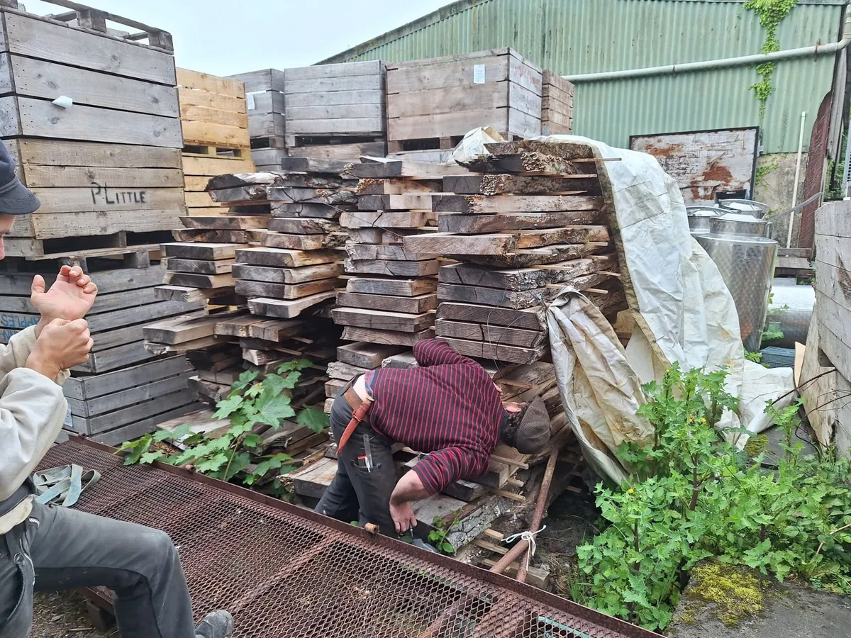 Oak & Ash planks - Image 4