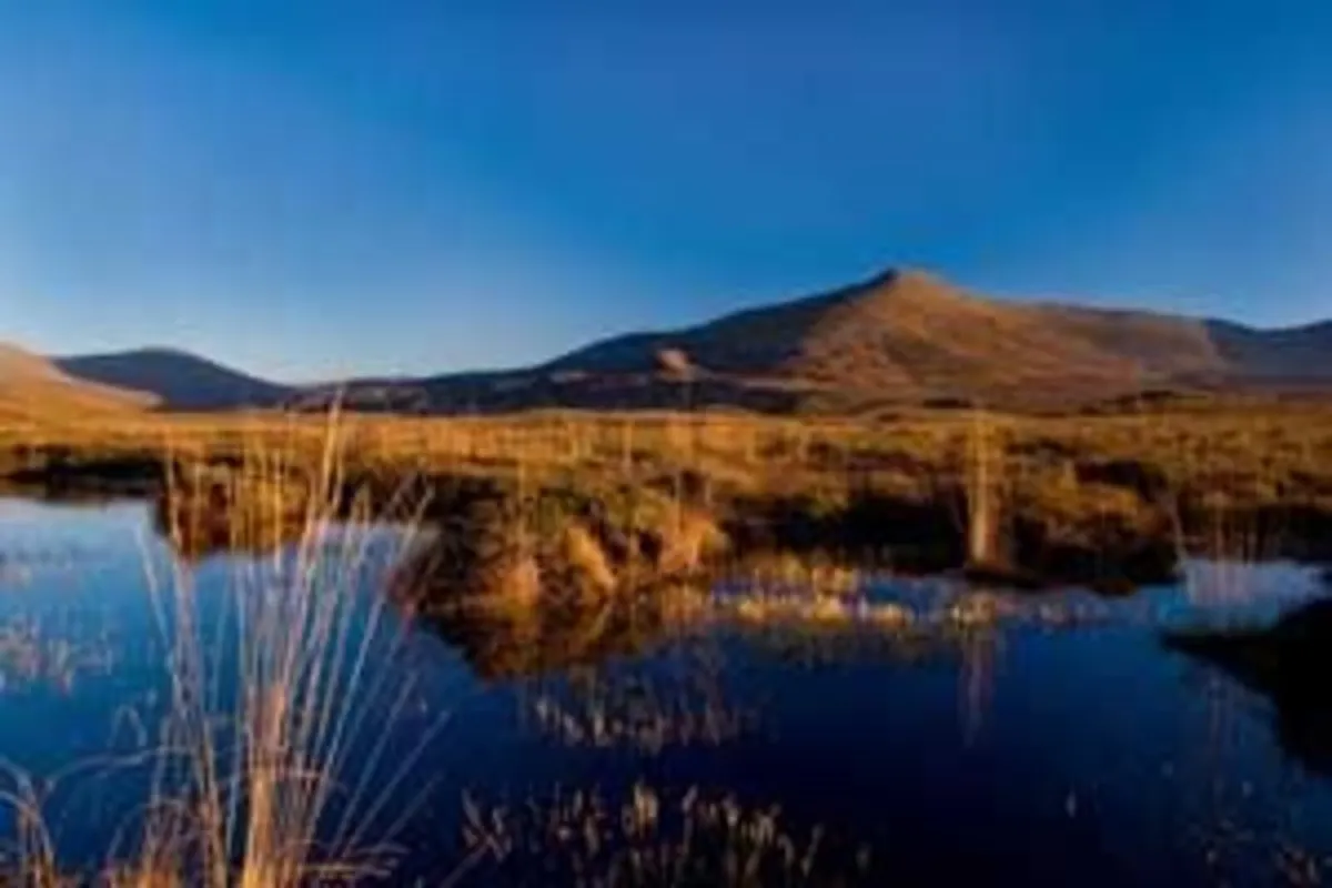 Wild Atlantic Way Holiday Home - Image 4