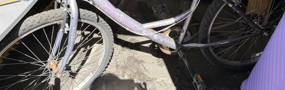 bycicle for free - Image 1