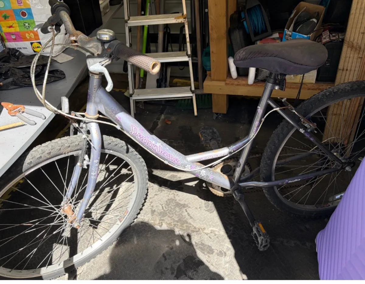 bycicle for free - Image 2