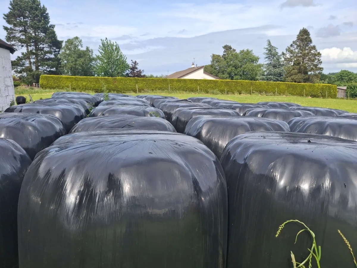 Haylage