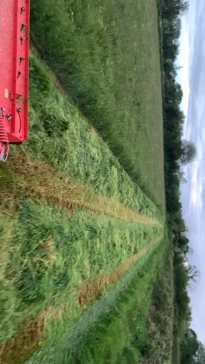 Square bales of hay - Image 3
