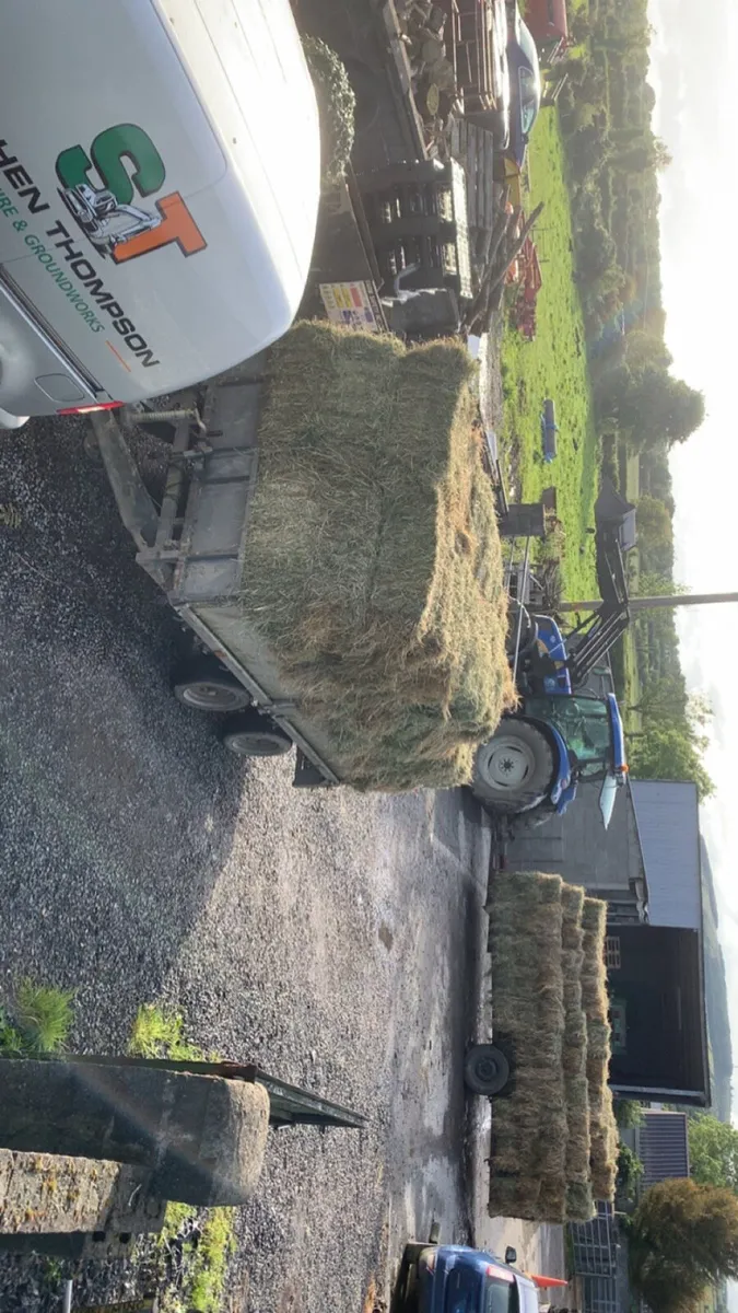 Square bales of hay - Image 1
