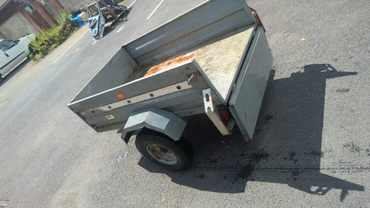 Cat trailer - Image 2