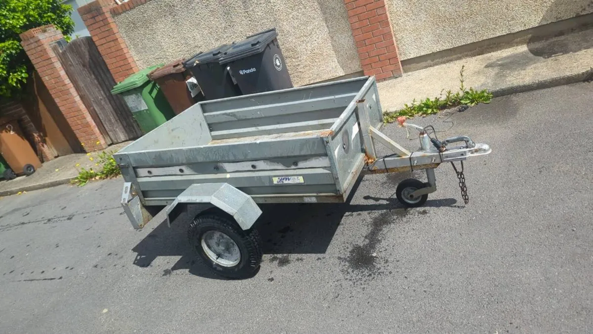 Cat trailer - Image 4