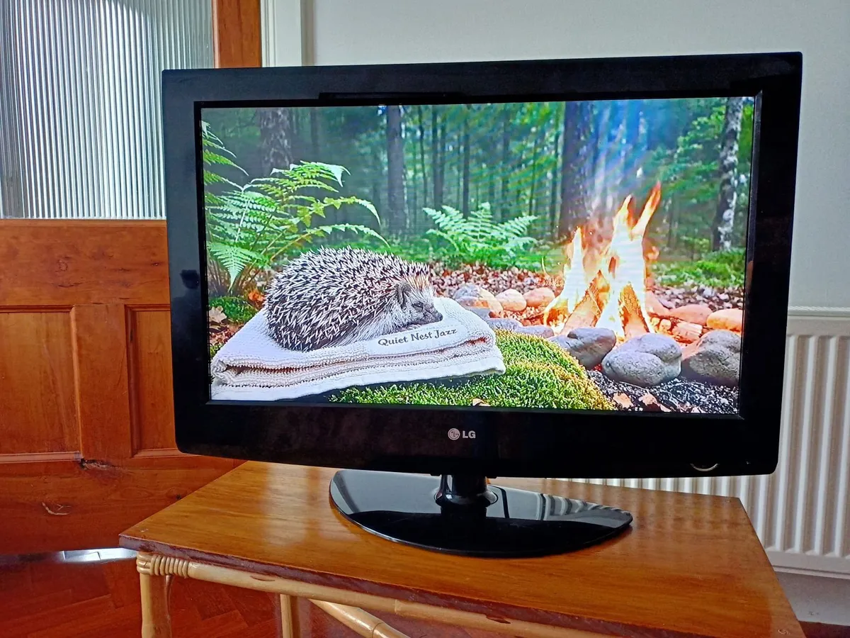 LG 32" TV with Chromecast & Wall Mount - Image 4