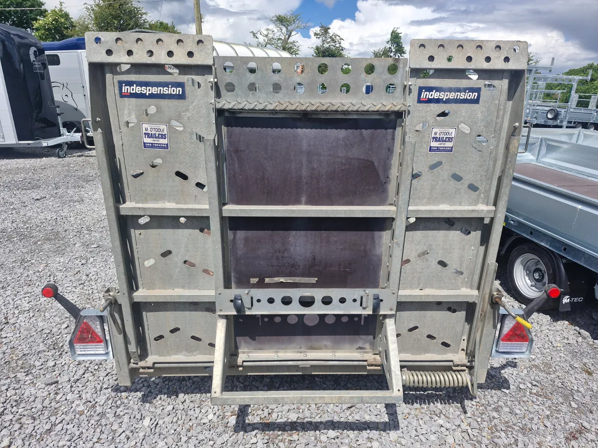 INDESPENSION      10' x 5'6"  PLANT  TRAILER - Image 3