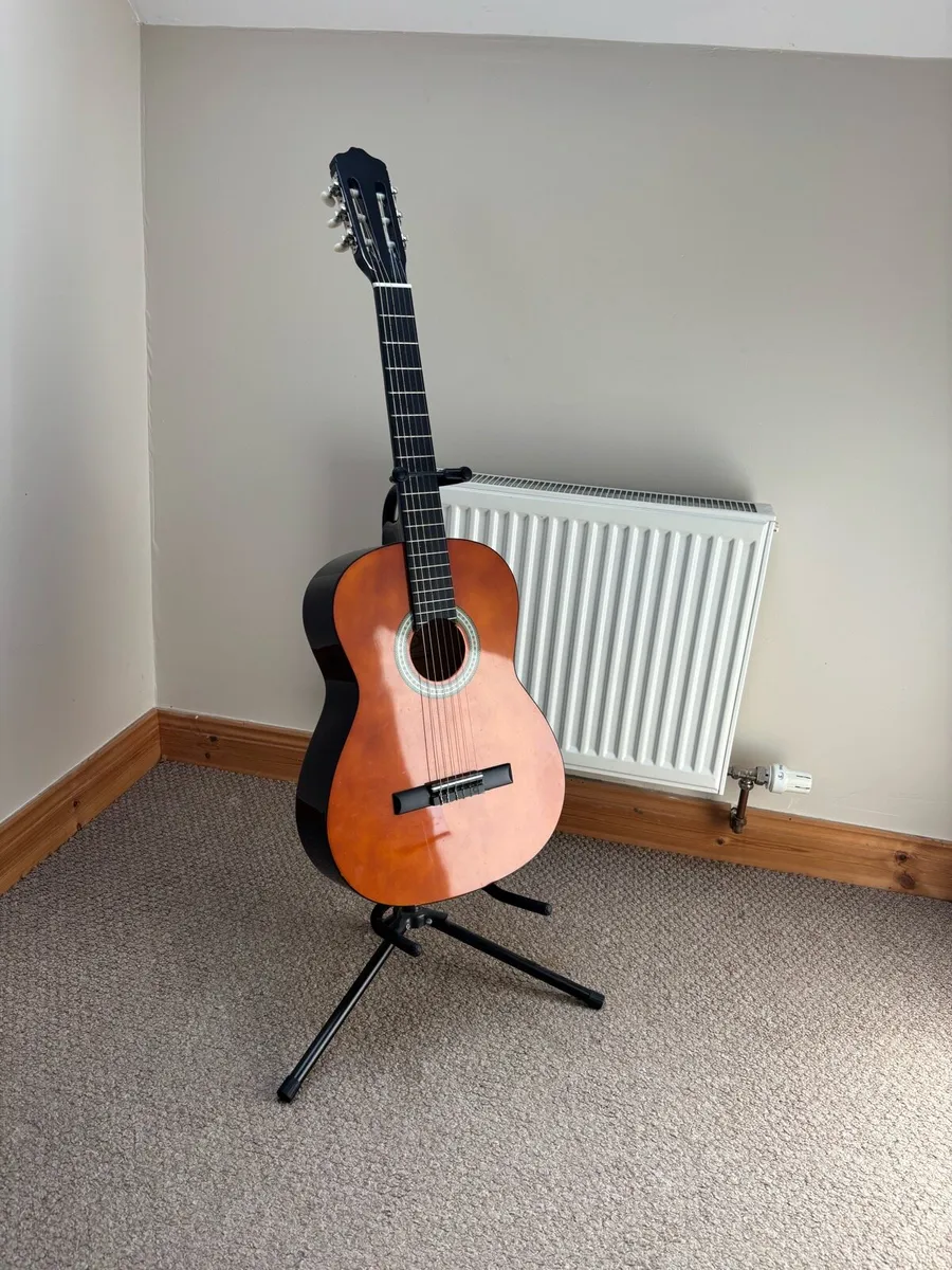 Acoustic guitar with bag,stand and picks - Image 1