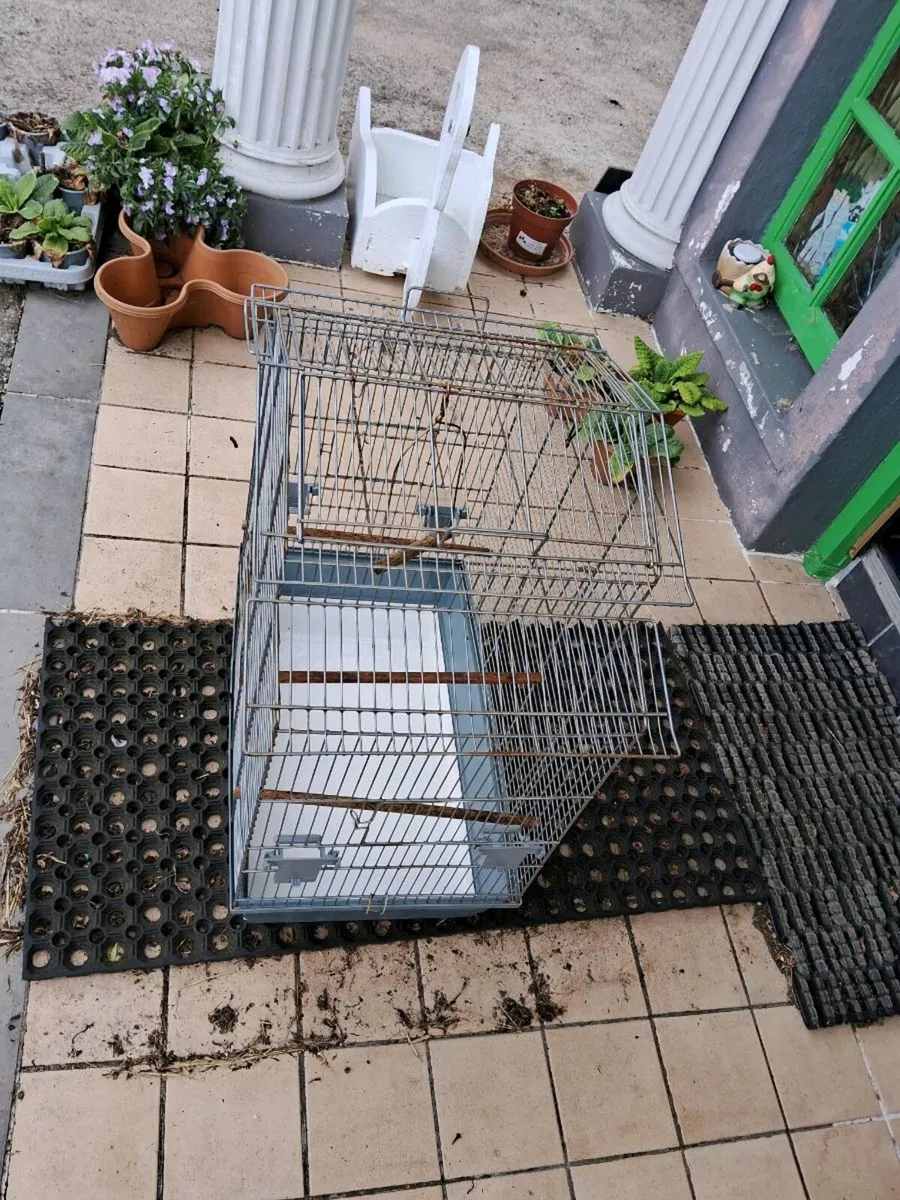Bird cage - Image 1