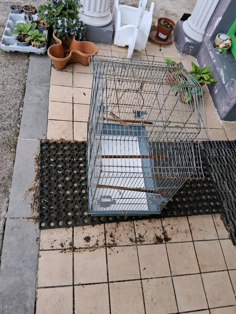 Bird cage - Image 2