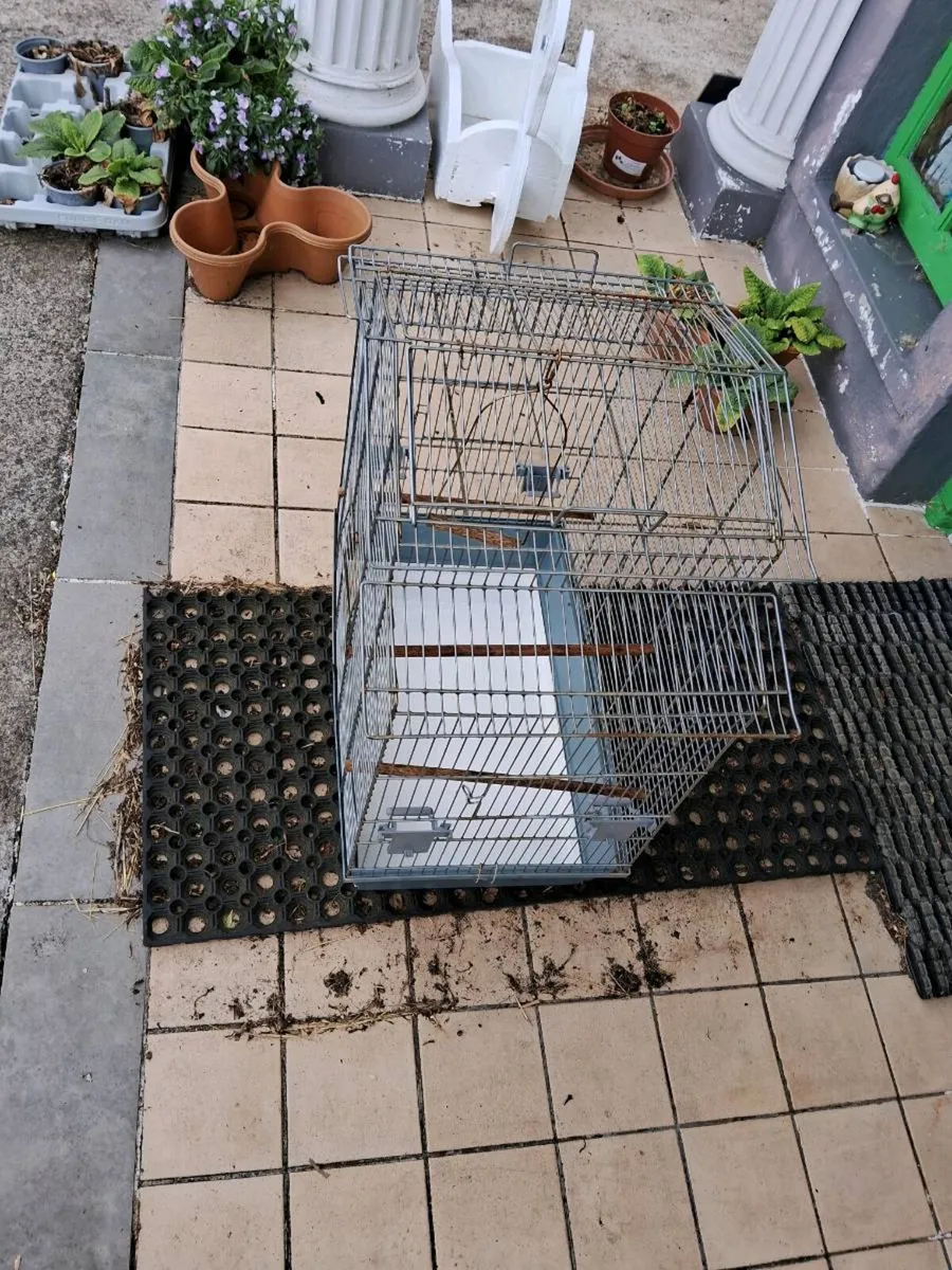 Bird cage - Image 3