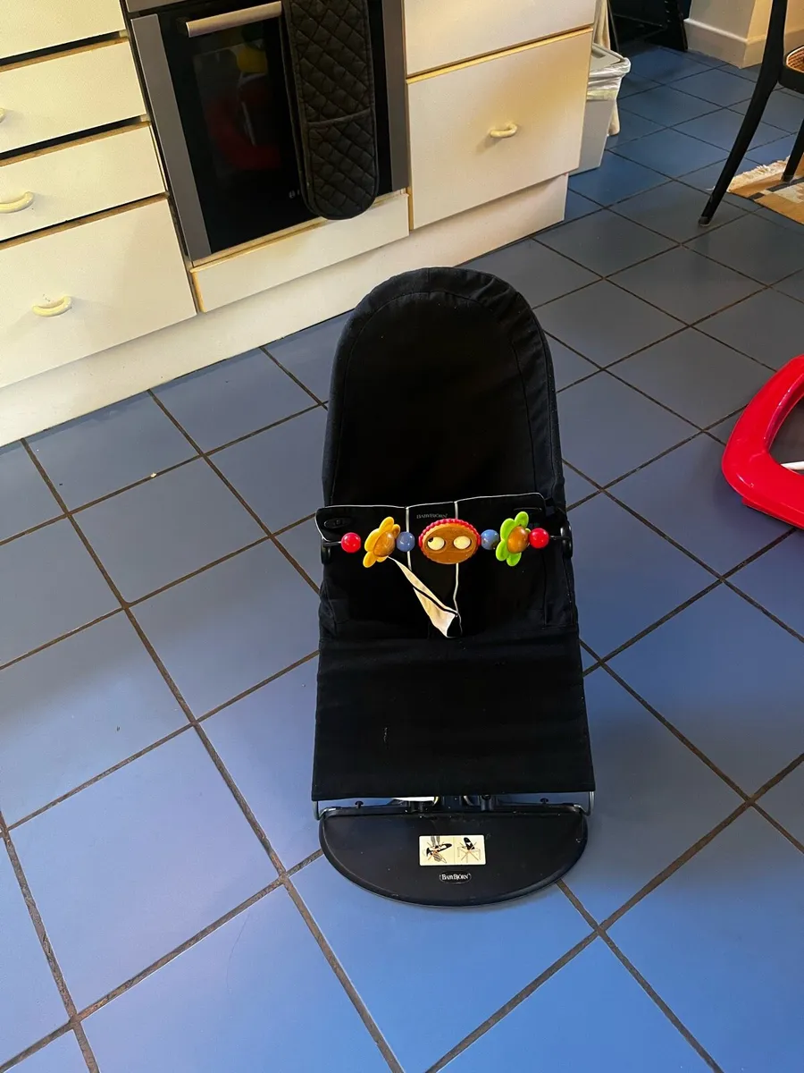 Baby bjorn bouncer - Image 2