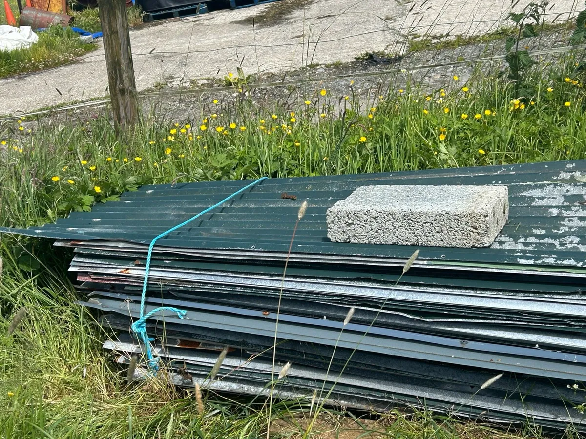 Galvanised iron - Image 2