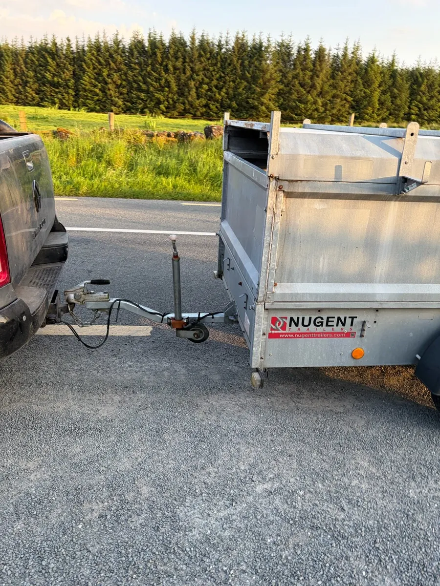 Nugent 8x4 sheep trailer - Image 2