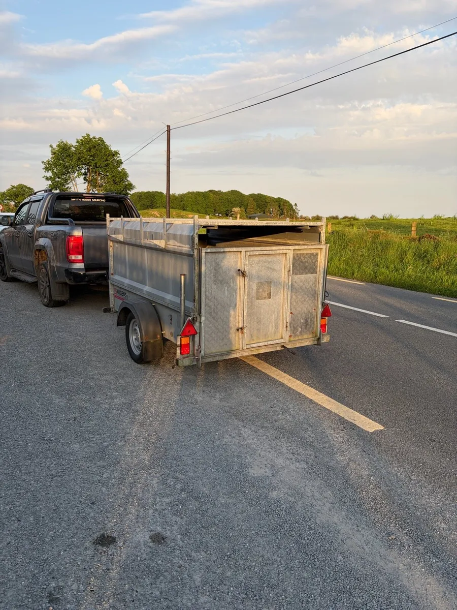 Nugent 8x4 sheep trailer - Image 3