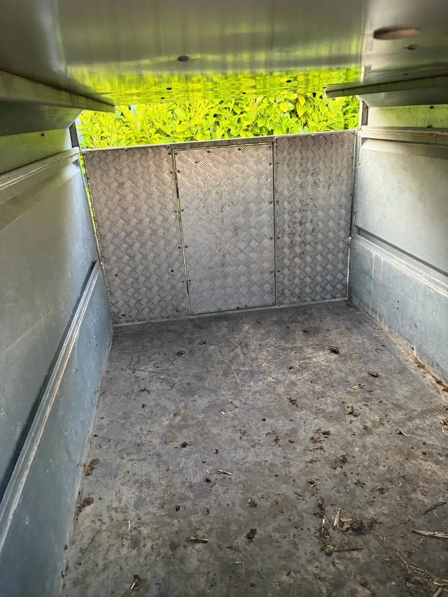 Nugent 8x4 sheep trailer - Image 4