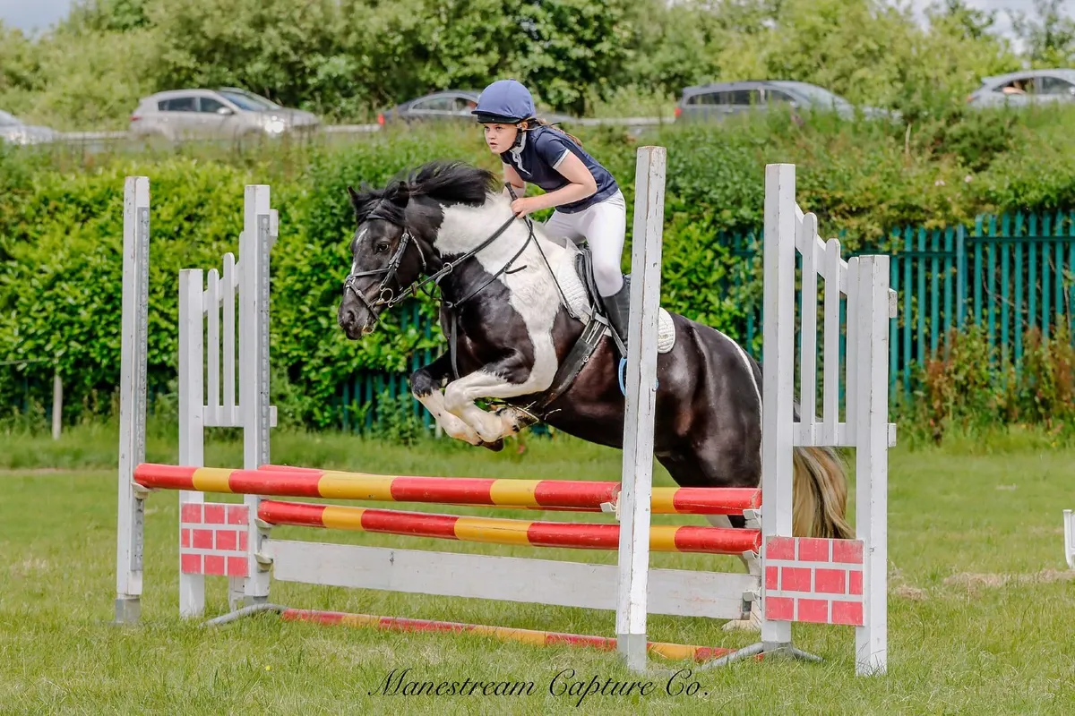 13.2 Schoolmaster for summer livery - Image 1