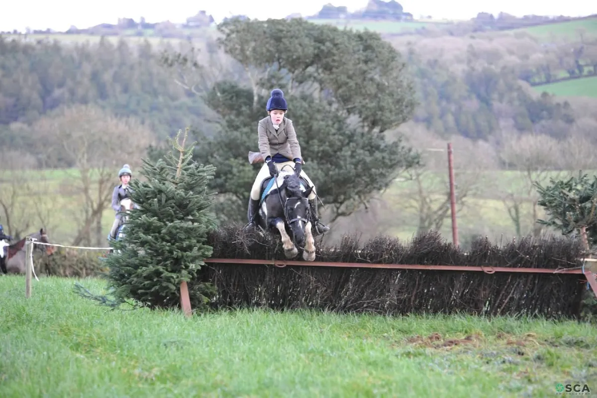 13.2 Schoolmaster for summer livery - Image 2