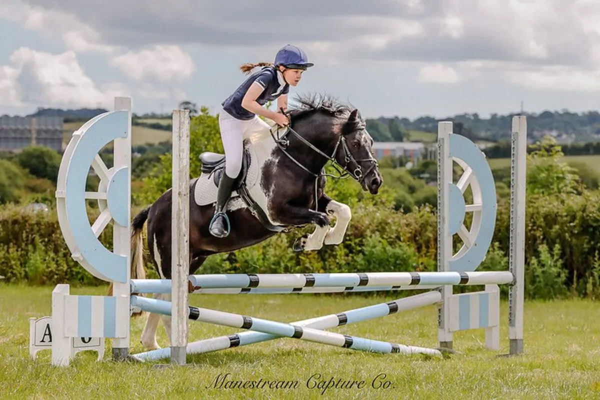 13.2 Schoolmaster for summer livery - Image 3