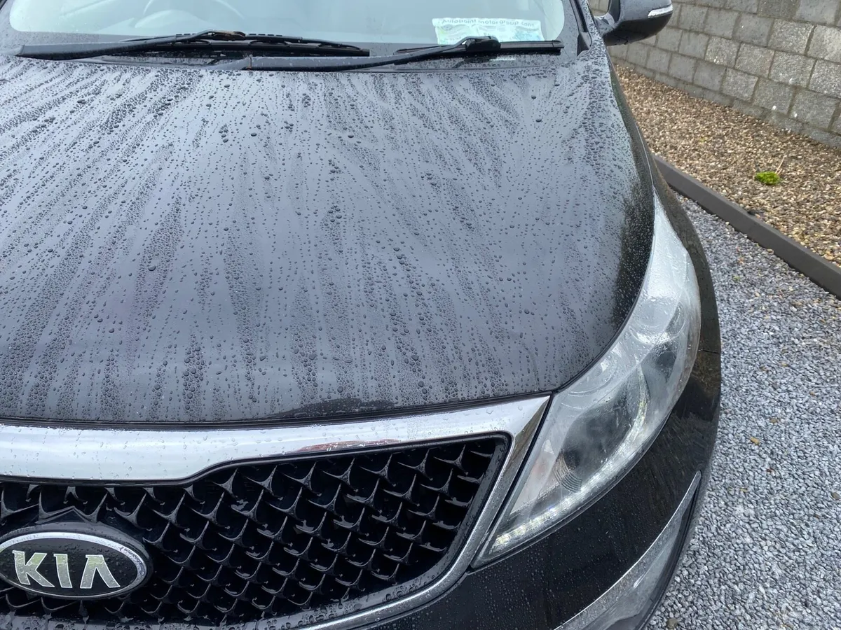 Sportage - Image 2