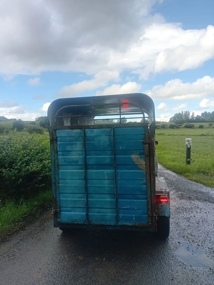 2 cow trailer and 5ft flemming box - Image 2