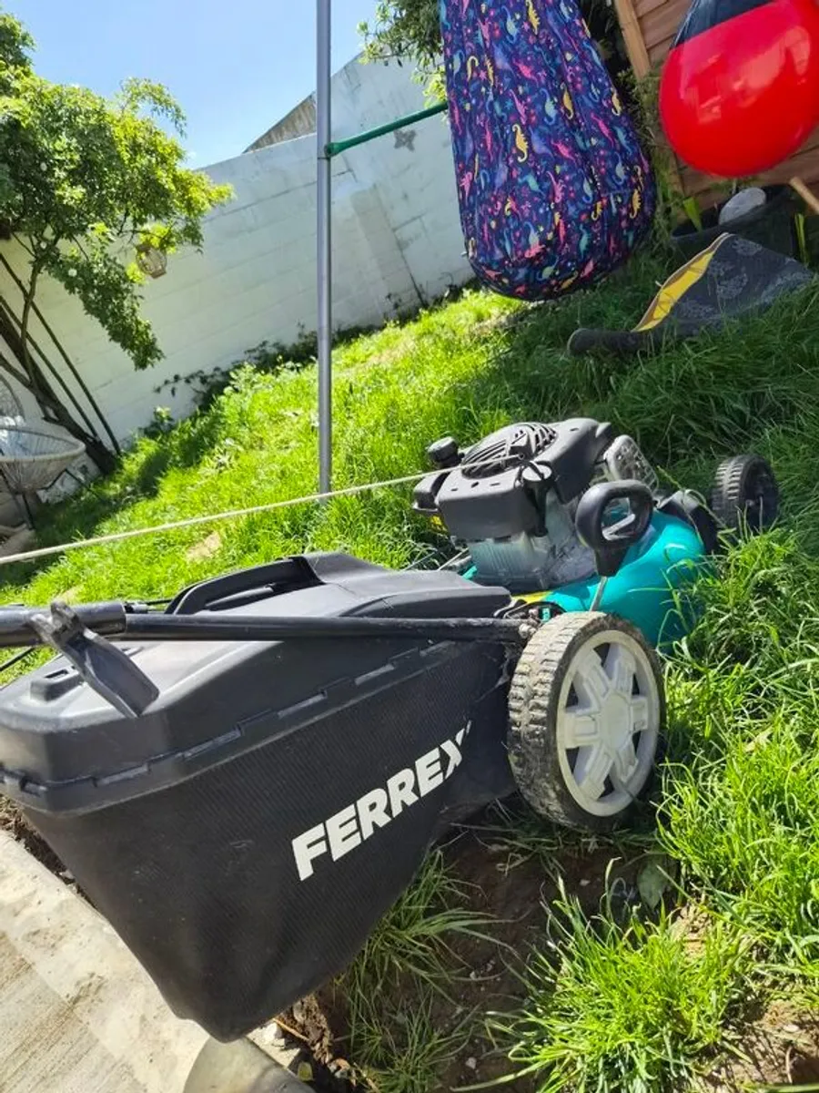 Briggs and Stratton - Image 3