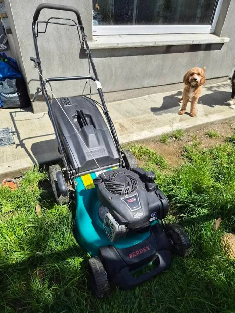 Briggs and Stratton - Image 1