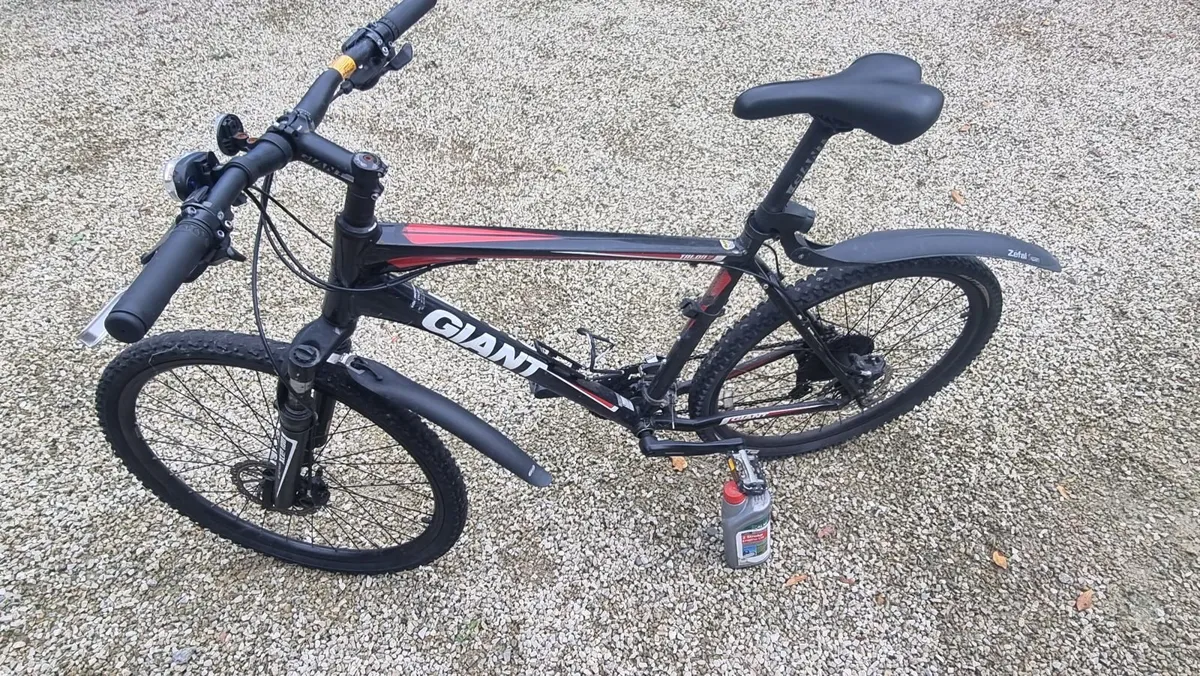 Giant Talon 2 bike - Image 2