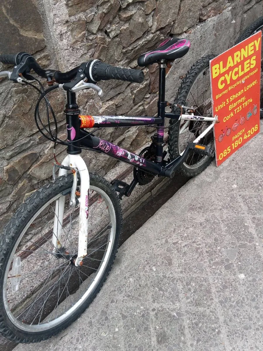 Bikes - Image 1