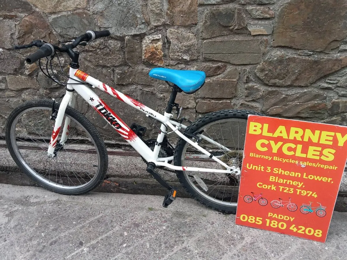 Bikes - Image 4