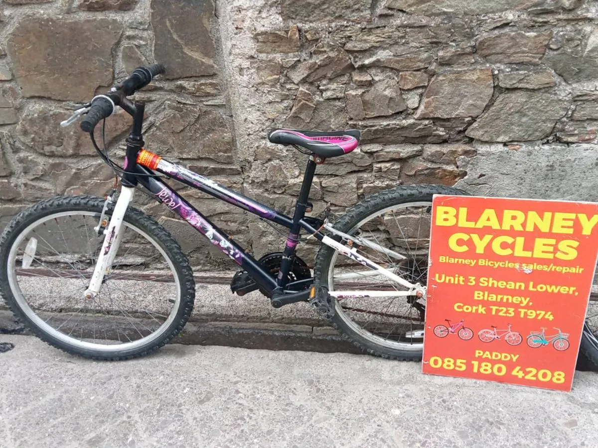 Bikes - Image 2
