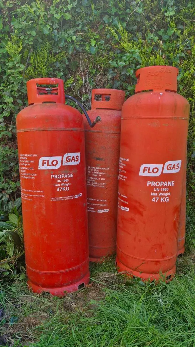 Propane cylinders 47kg  (4 units) - Image 1