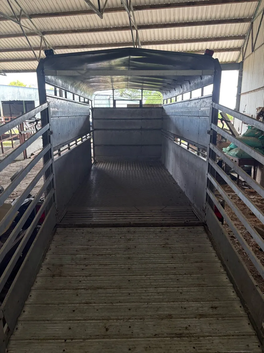 Hudson 14ft 6” Tri Axle Cattle Trailer with Tank - Image 3