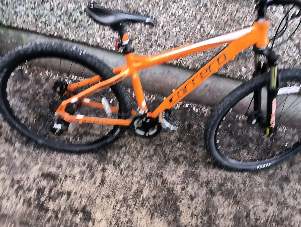 Carerra mountain bike - Image 2