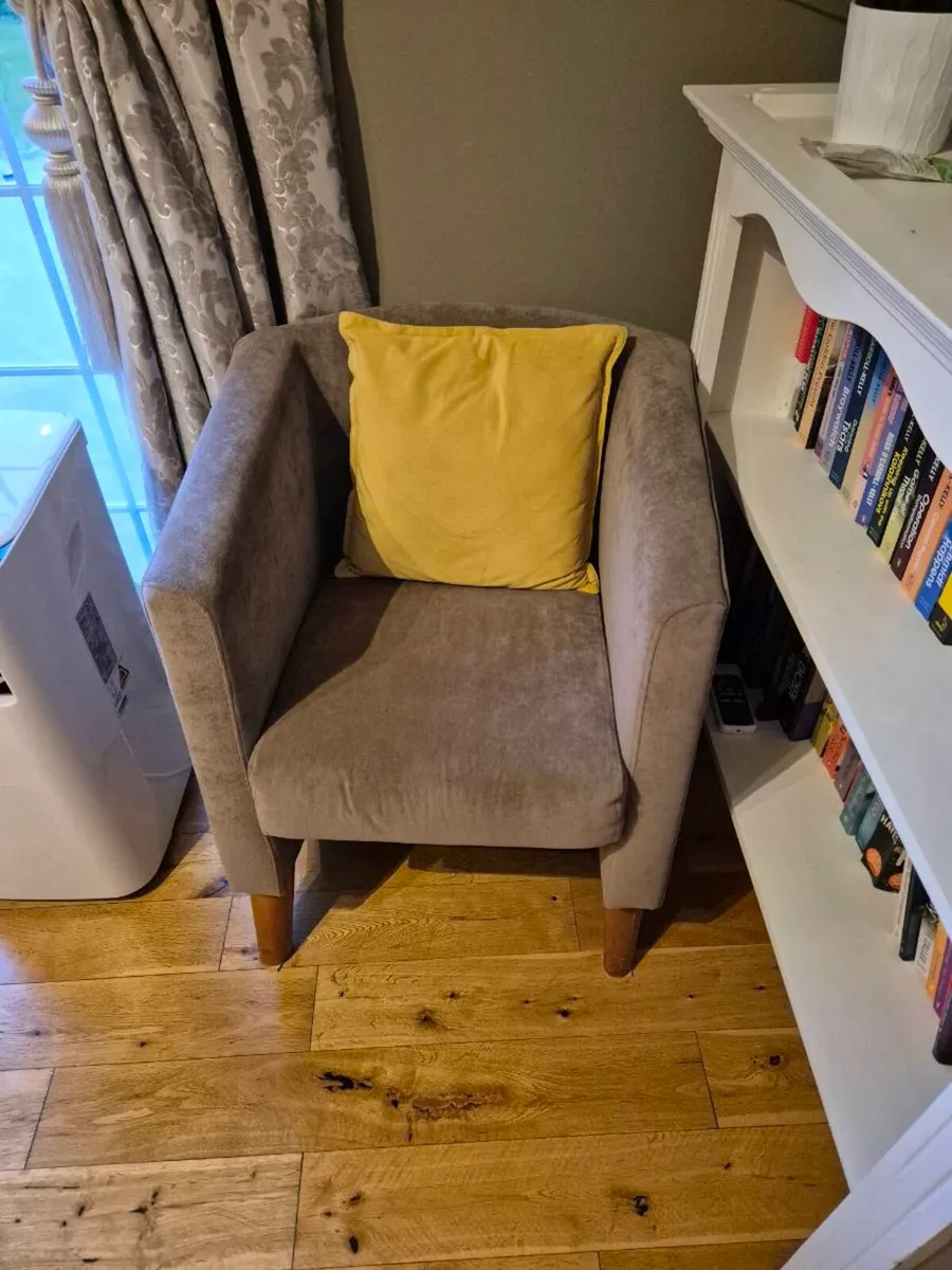 Sunroom Chairs - Image 1