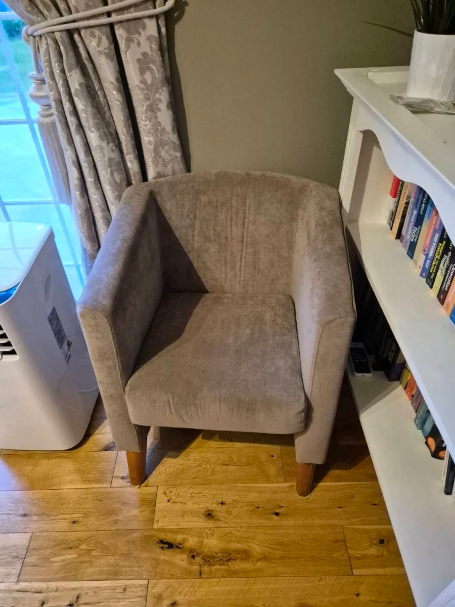 Sunroom Chairs - Image 4