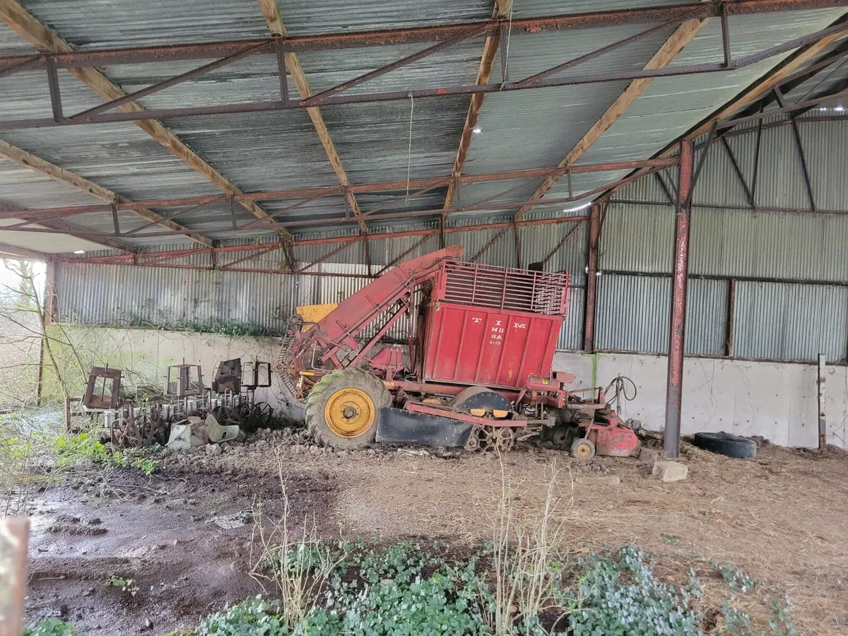 Tim Beet Harvesters - Image 3