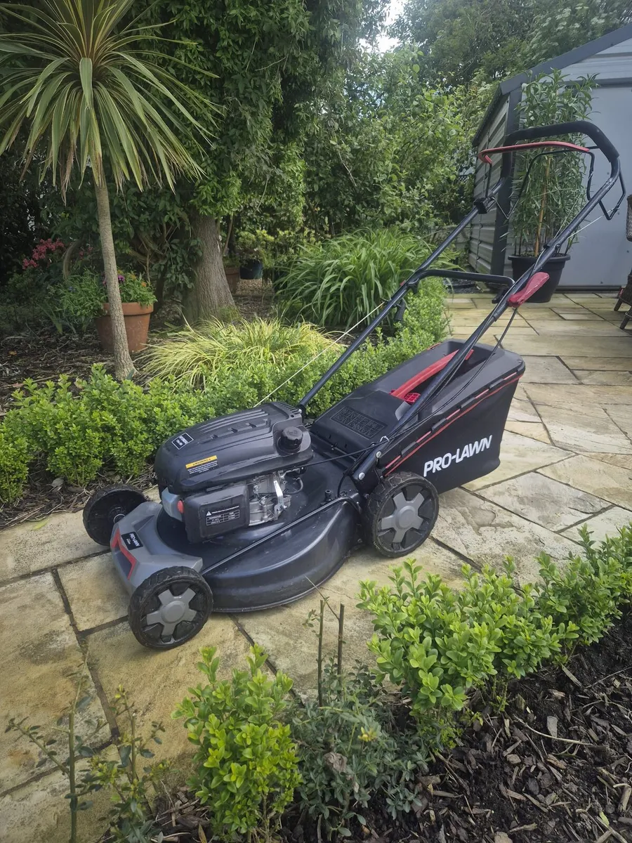 Lawnmower - Image 1