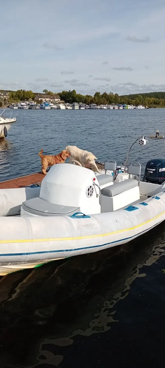 6.5 mtr Rib boat Evinrude e175 V6 engine - Image 1