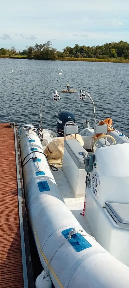 6.5 mtr Rib boat Evinrude e175 V6 engine - Image 2