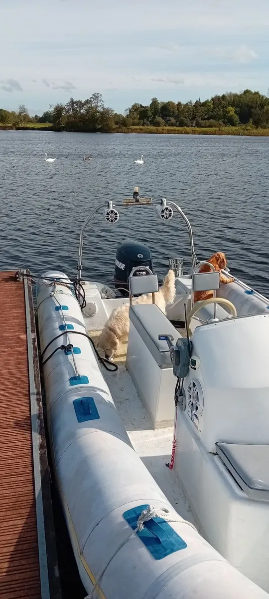 6.5 mtr Rib boat Evinrude e175 V6 engine - Image 3
