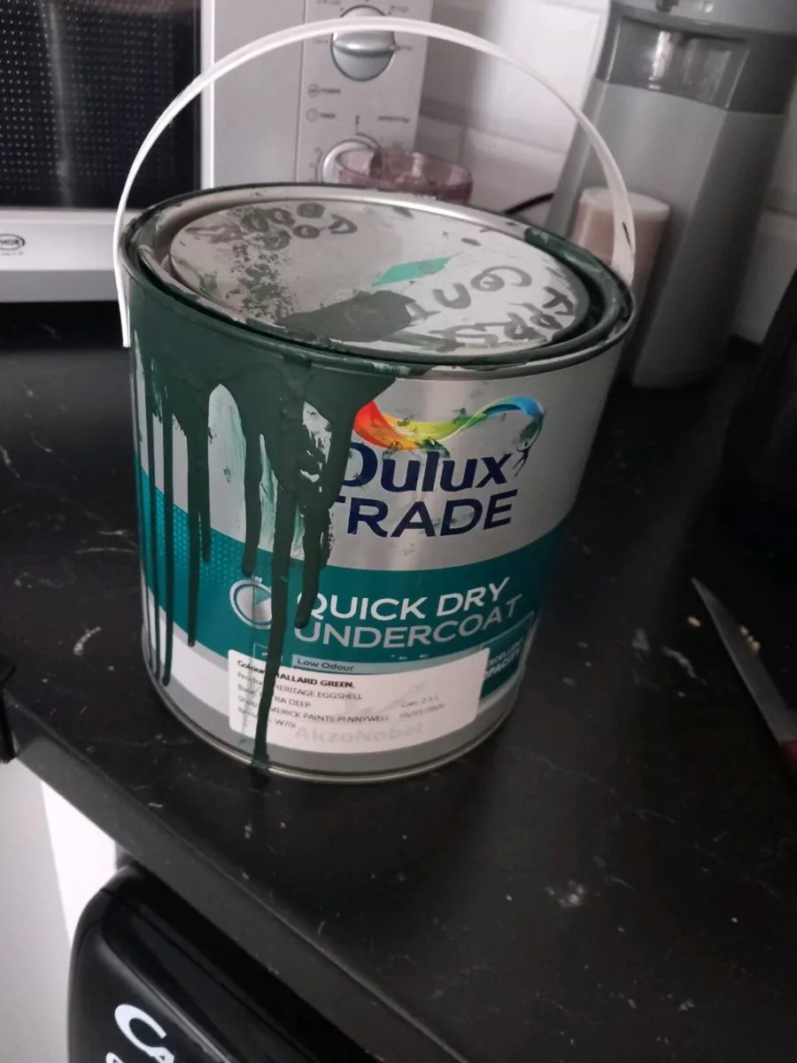 Paint - Image 3