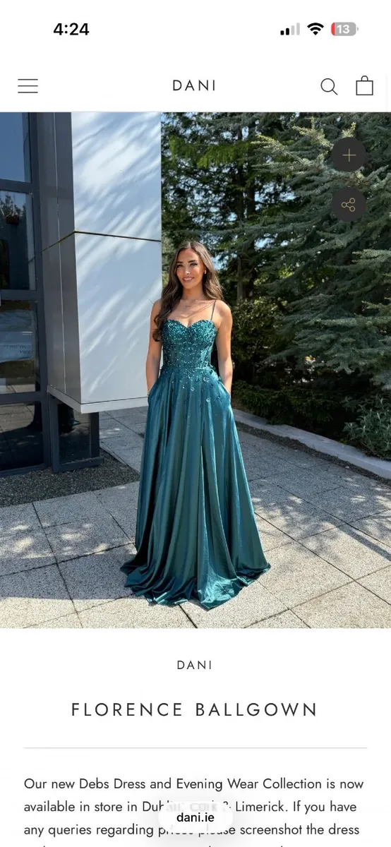 Debs Dress - Image 3