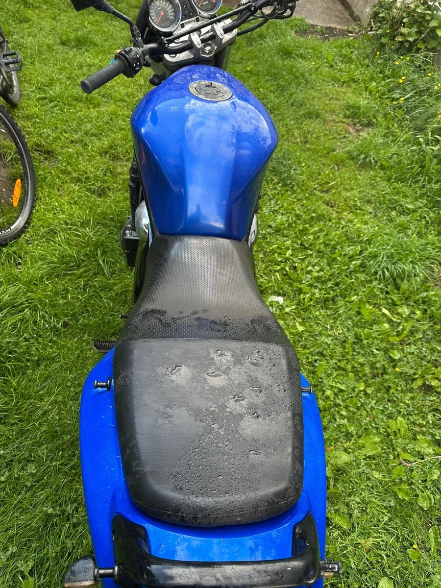 Suzuki Bandit 600 - Image 2