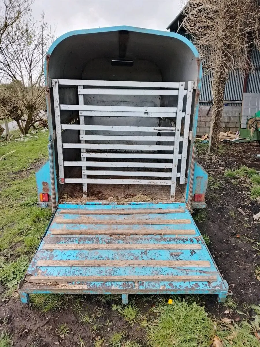 Bateson 8x5 Cattle Trailer - Image 4
