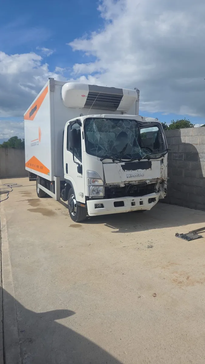 2024  isuzu deep freezer  lorry - Image 1